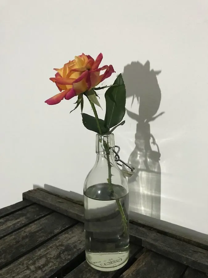 Appartement Loft Parisio à Bologne